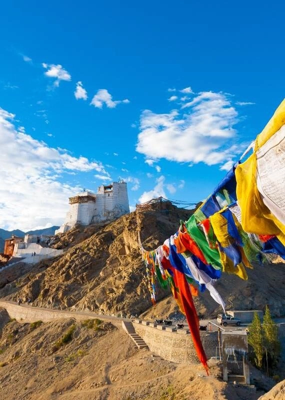 AdobeStock_137427608-Leh-Tsemo-Fort-Gompa-Prayer-Flags-Ladakh-By-Pius-Lee-800x0