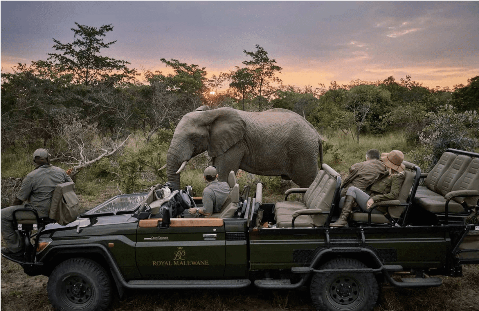 Kruger National Park 