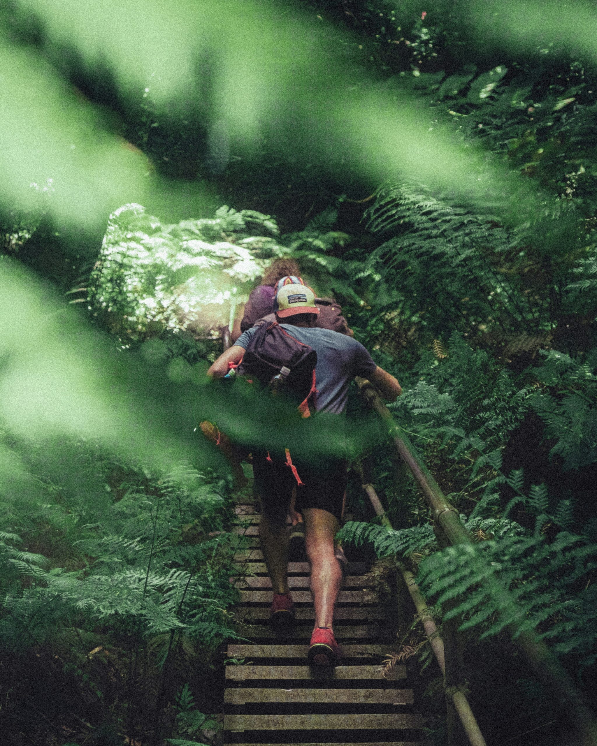 EMERALD TRAIL
