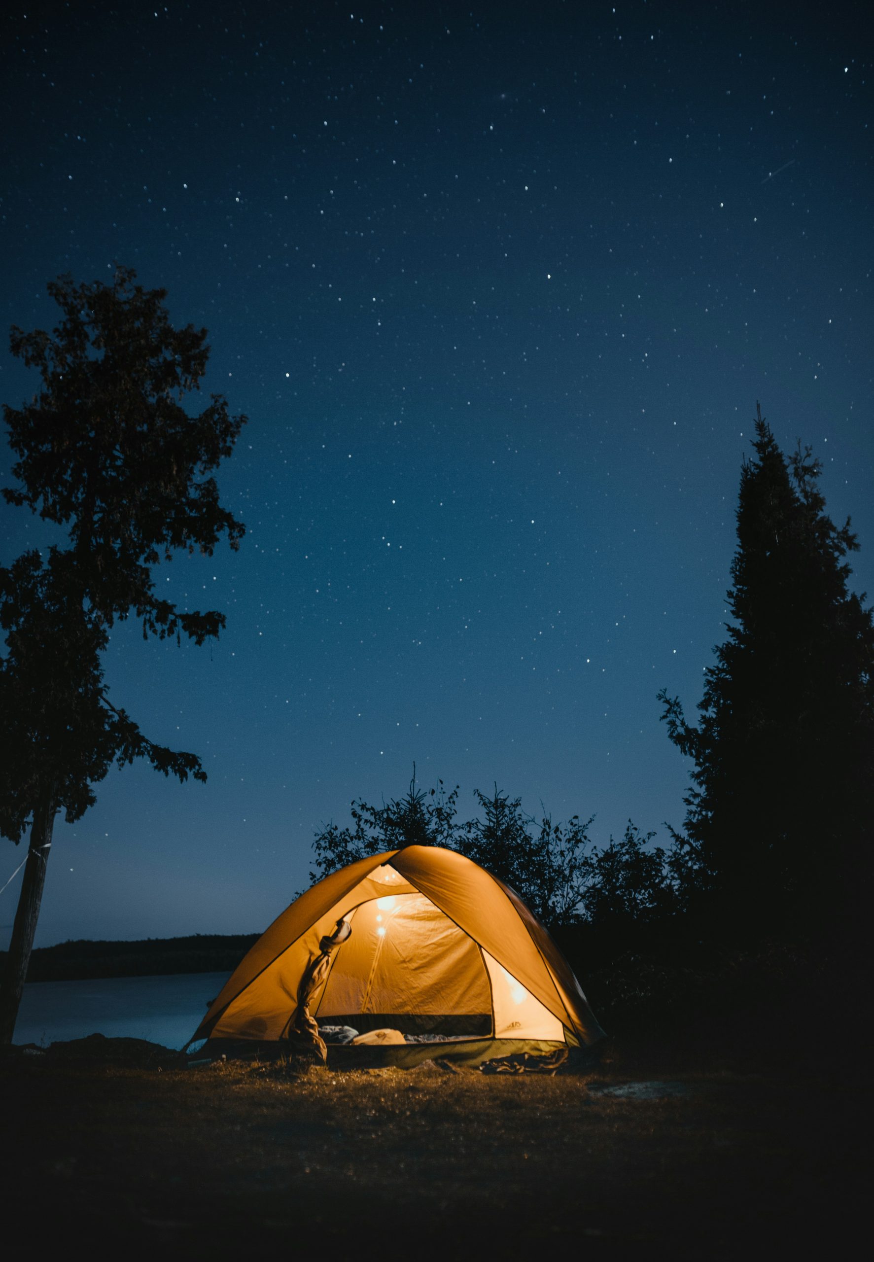Nomad Night